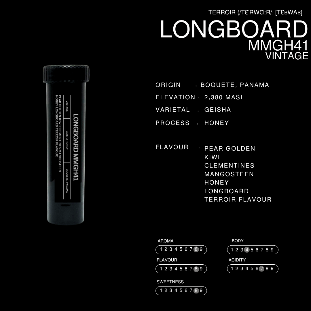 Longboard Vintage | Filter Roast | Terroir Laboratory
