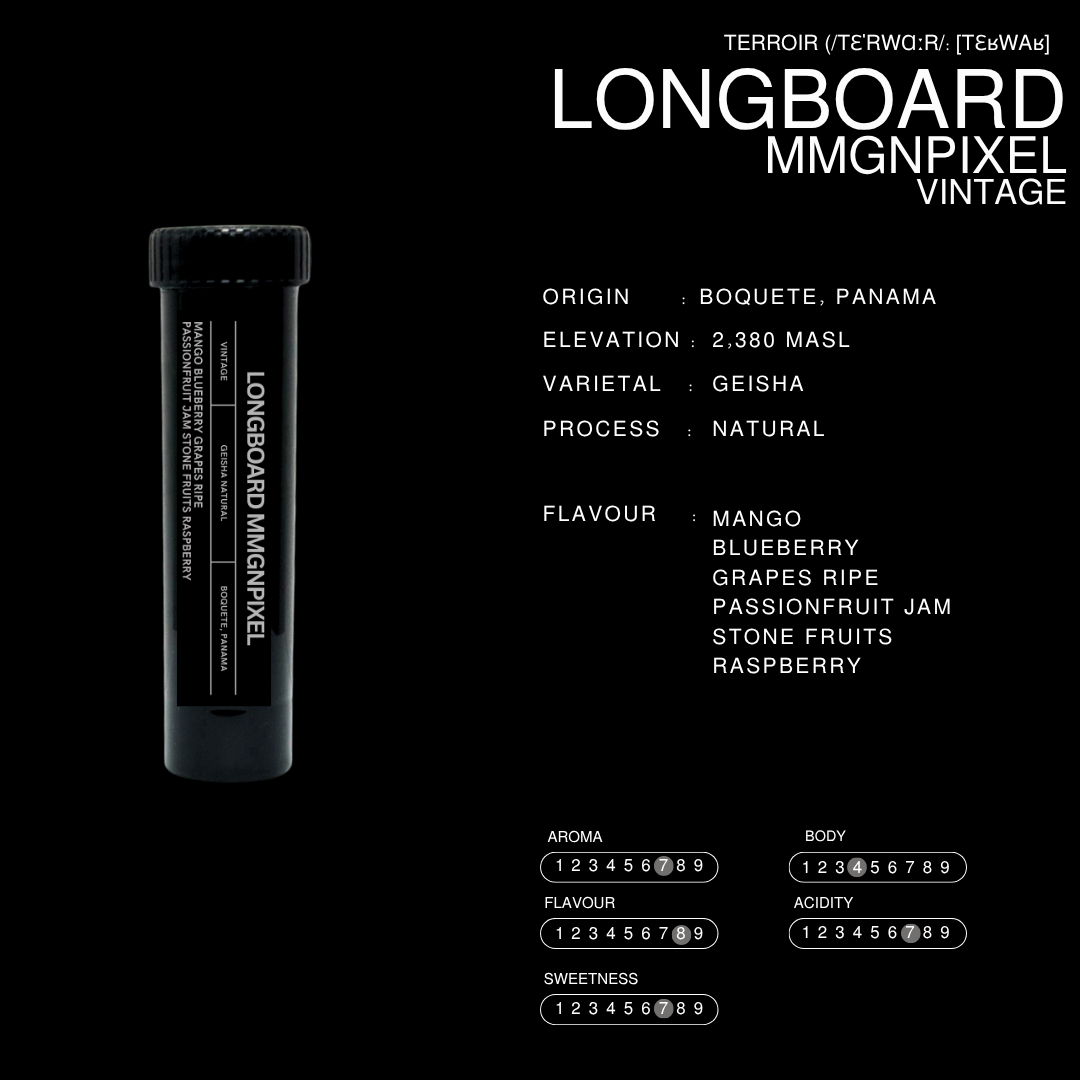 Longboard Vintage | Filter Roast | Terroir Laboratory