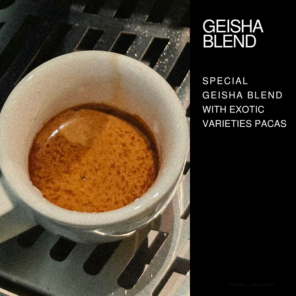 Geisha Blend | Omni Roast | Terroir Laboratory