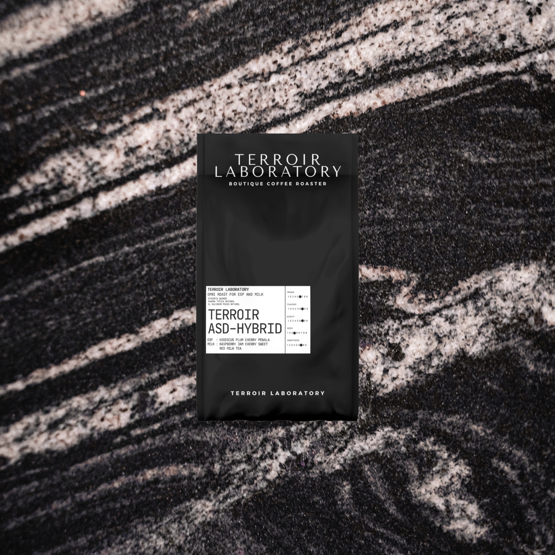 Terroir ASD-HYBRID Blend | Light Roast | Terroir Laboratory