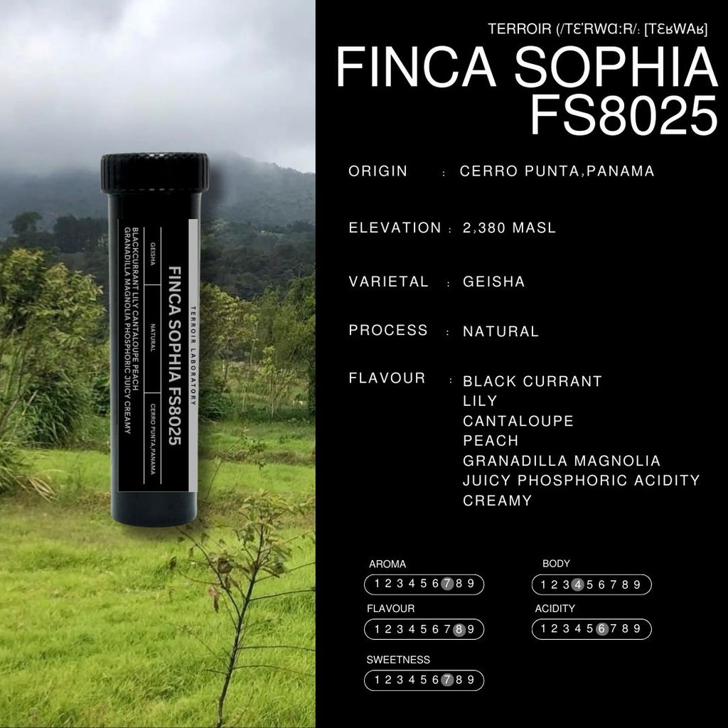 Finca Sophia FS8025 - 12,5 gram