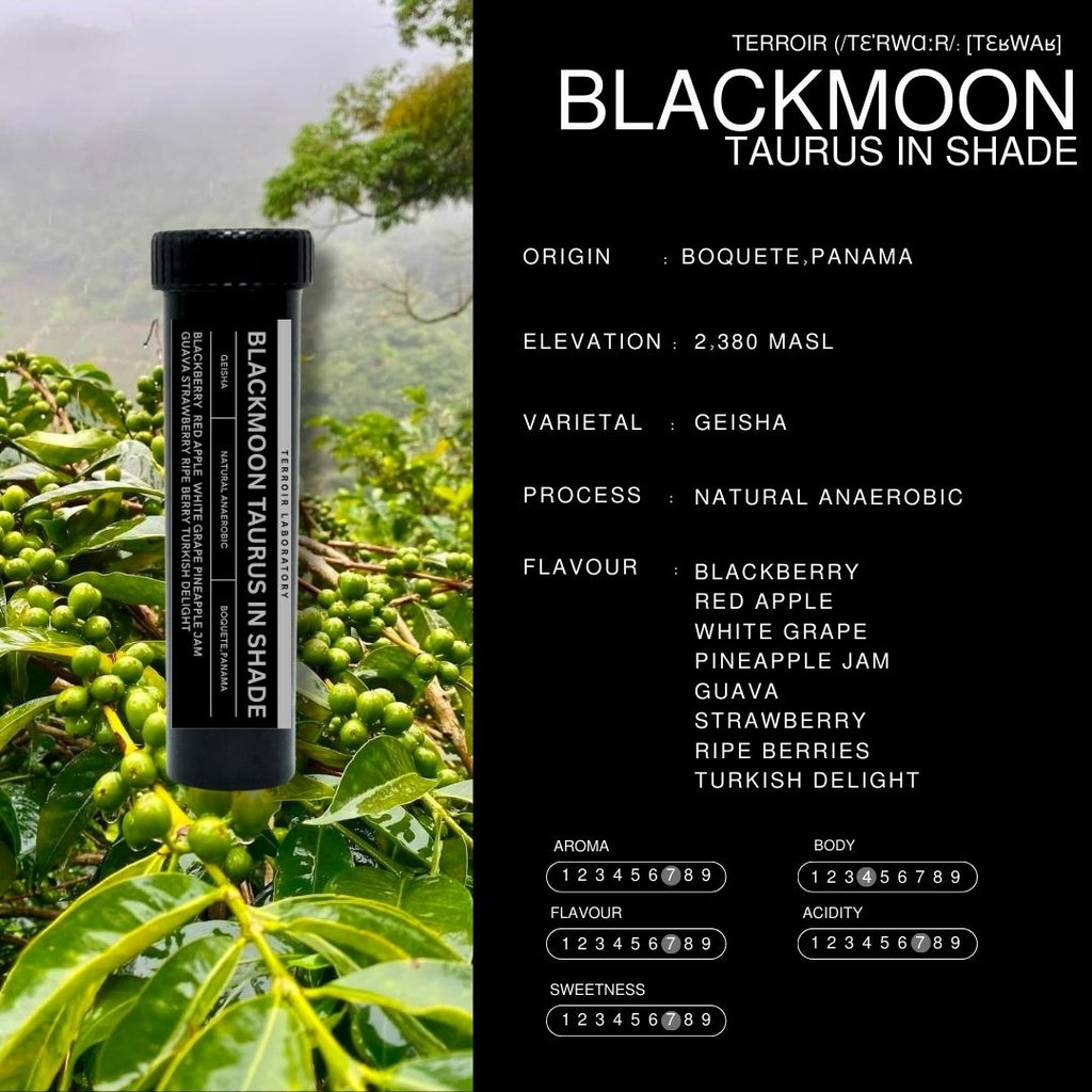 Blackmoon Taurus In Shade