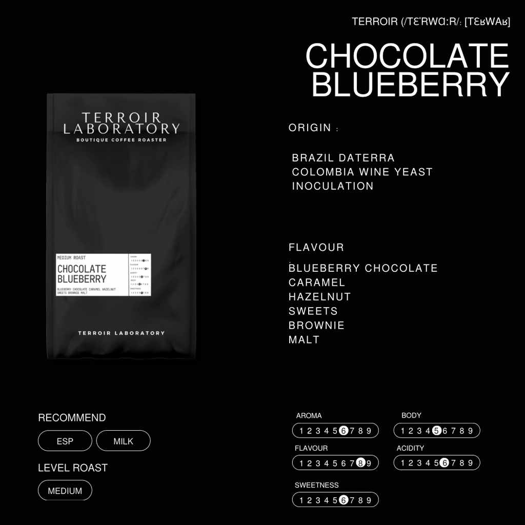 Chocolate Blueberry (Medium Roast)