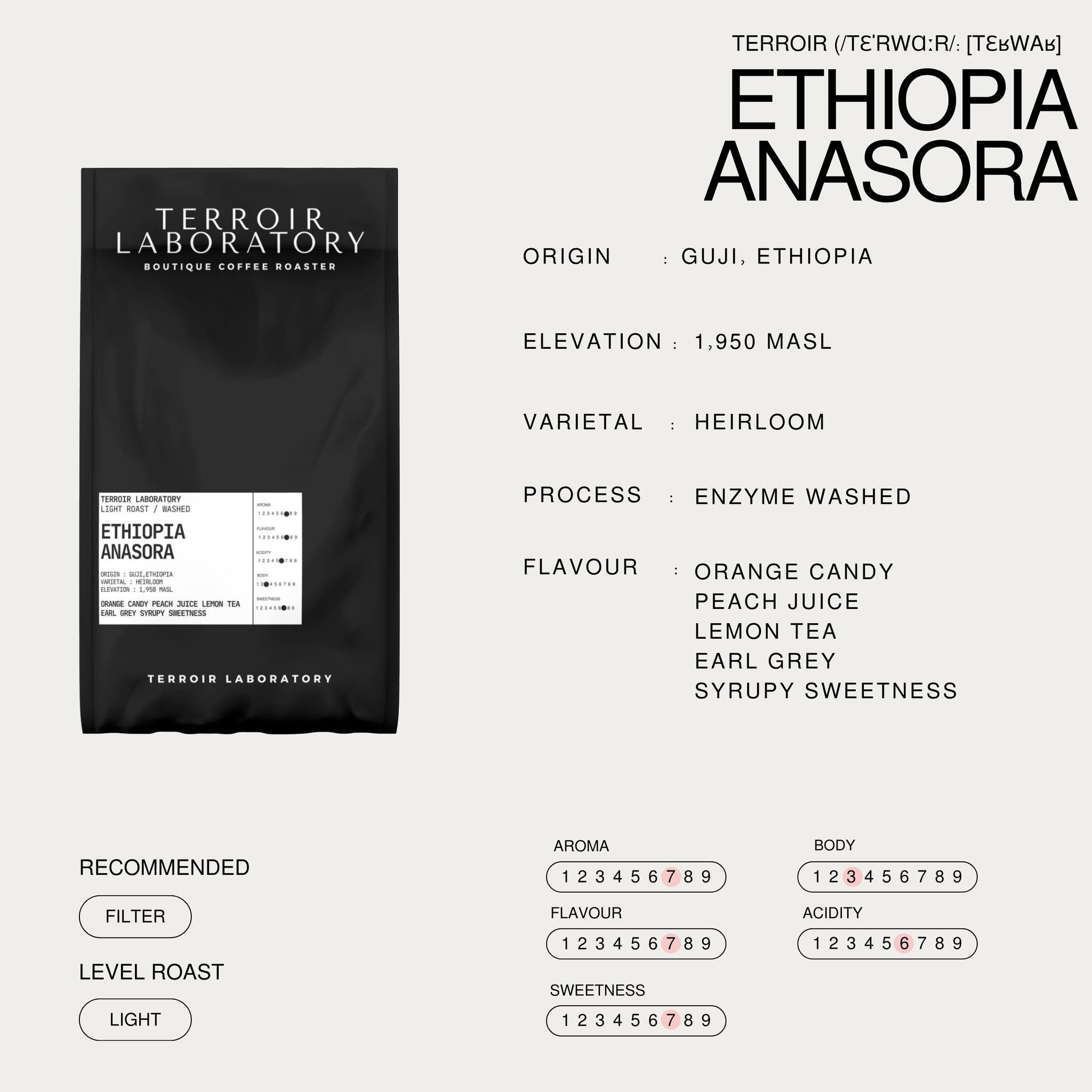 Ethiopia Anasora
