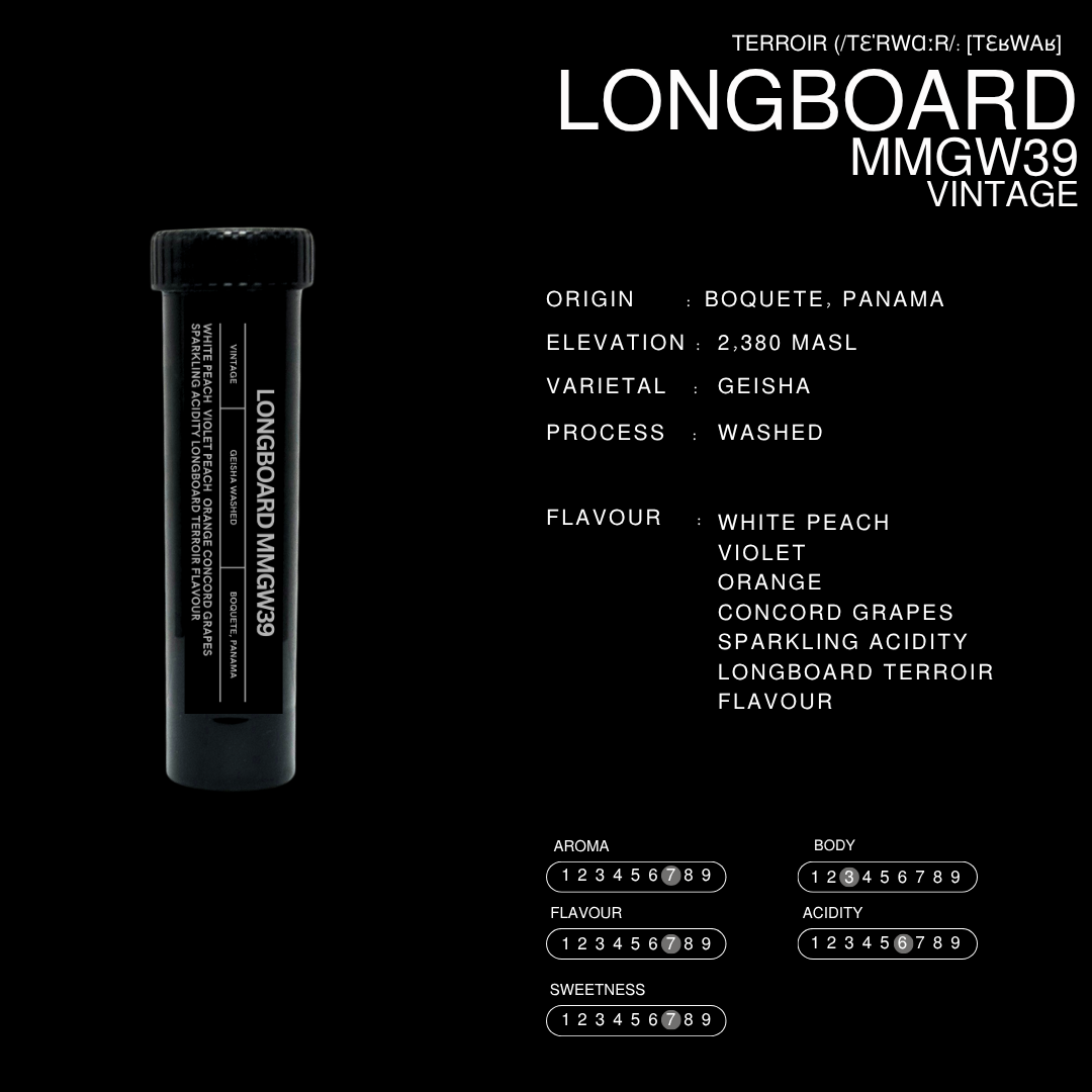 Longboard Vintage | Filter Roast | Terroir Laboratory