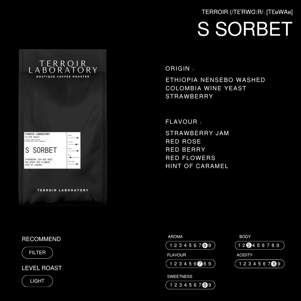 S Sorbet Blend | Filter Roast | Terroir Laboratory