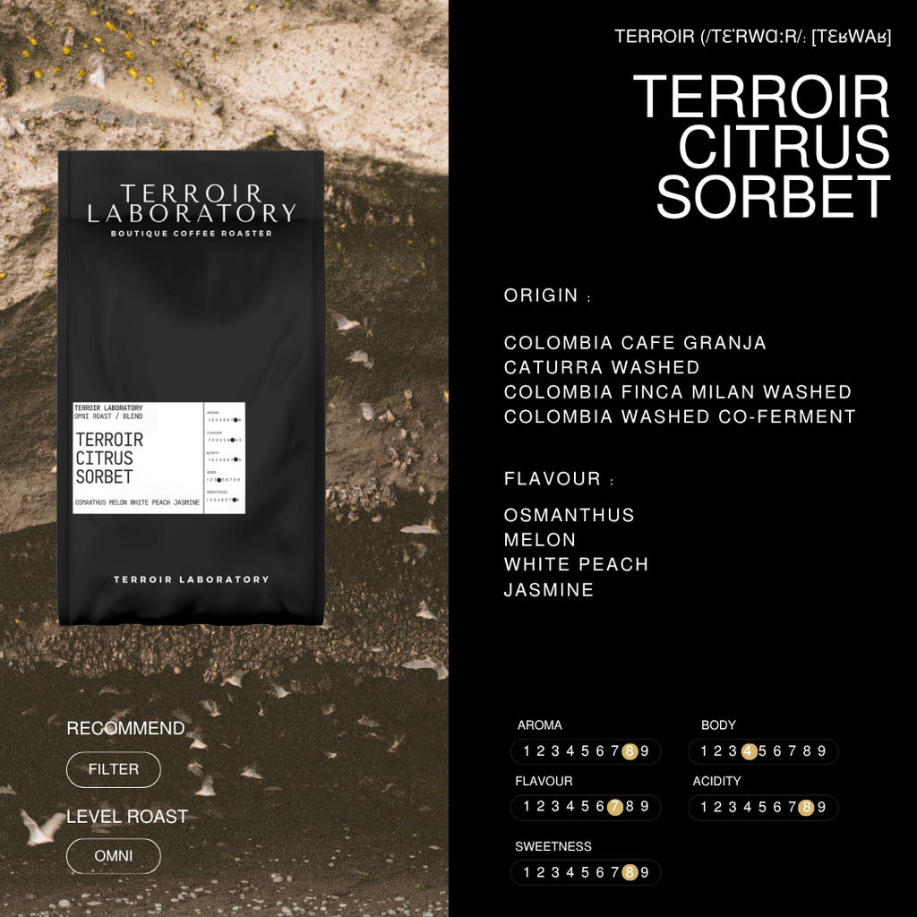 Terroir Citrus Sorbet Blend | Omni Roast | Terroir Laboratory