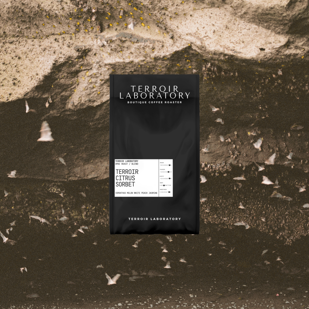 Terroir Citrus Sorbet Blend | Omni Roast | Terroir Laboratory