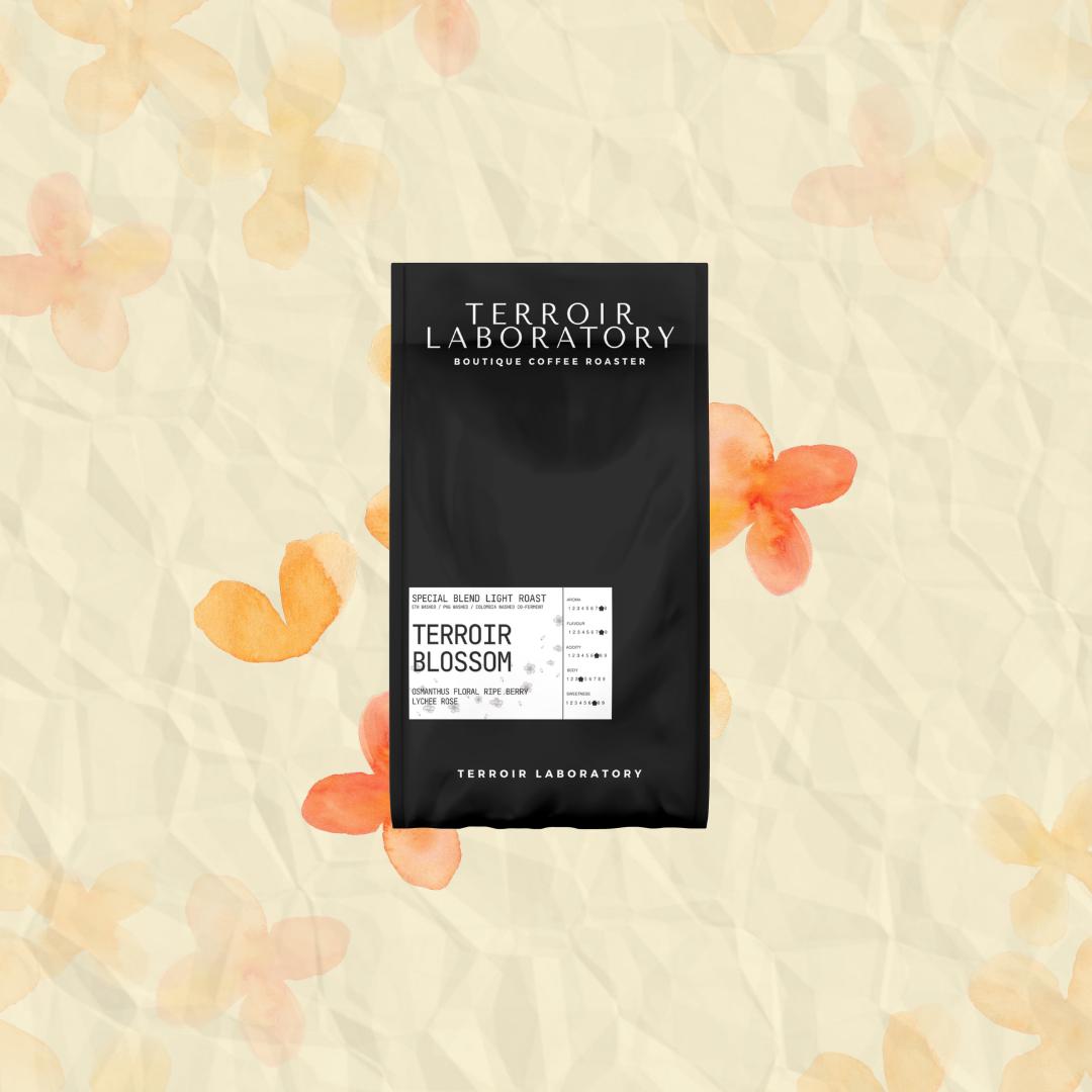 Terroir Blossom – Special Blend Light Roast