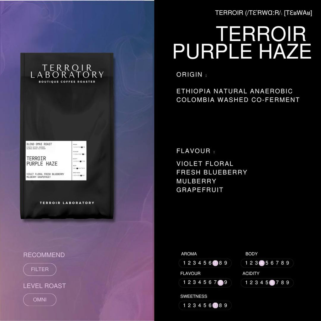 Terroir Purple Haze – Blend Omni Roast