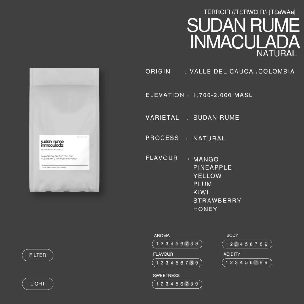 Sudan Rume Inmaculada Natural – Competition Grade Single Origin