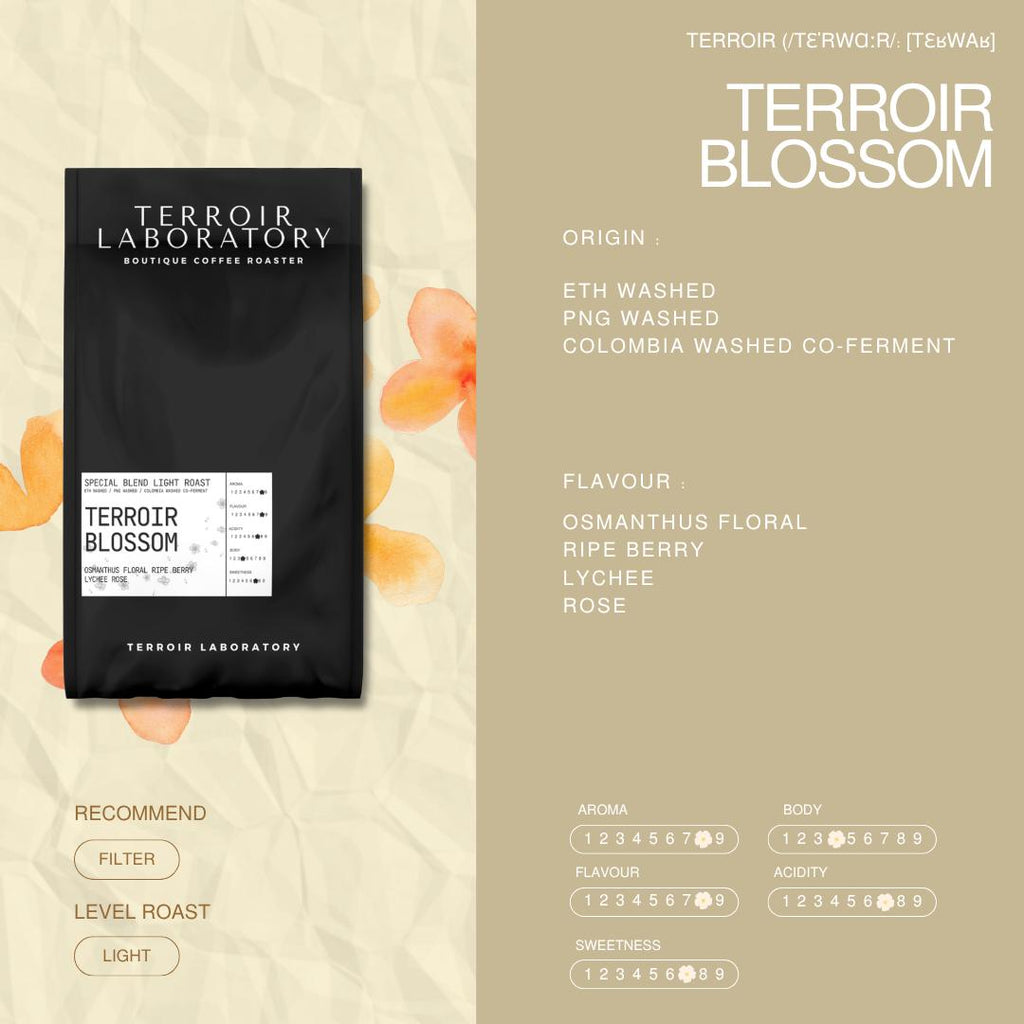 Terroir Blossom – Special Blend Light Roast