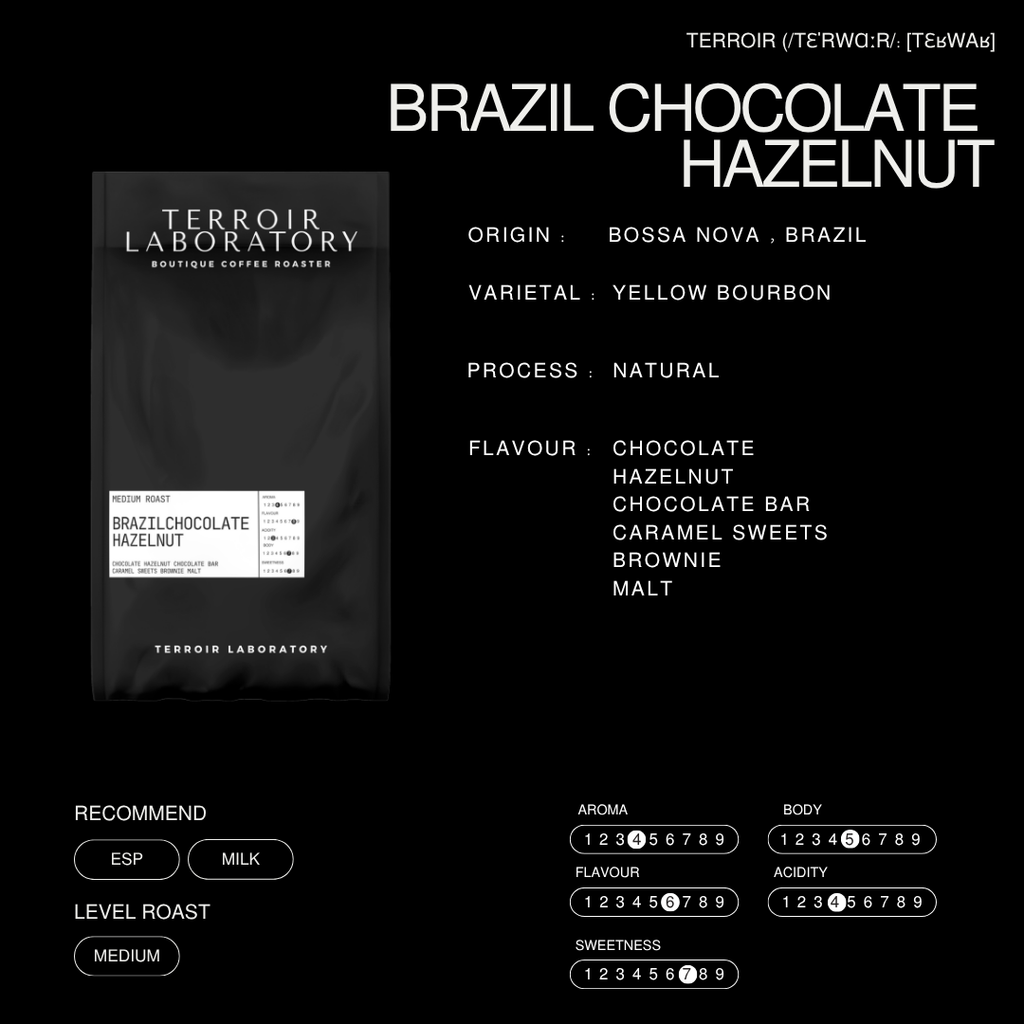Brazil Chocolate Hazelnut