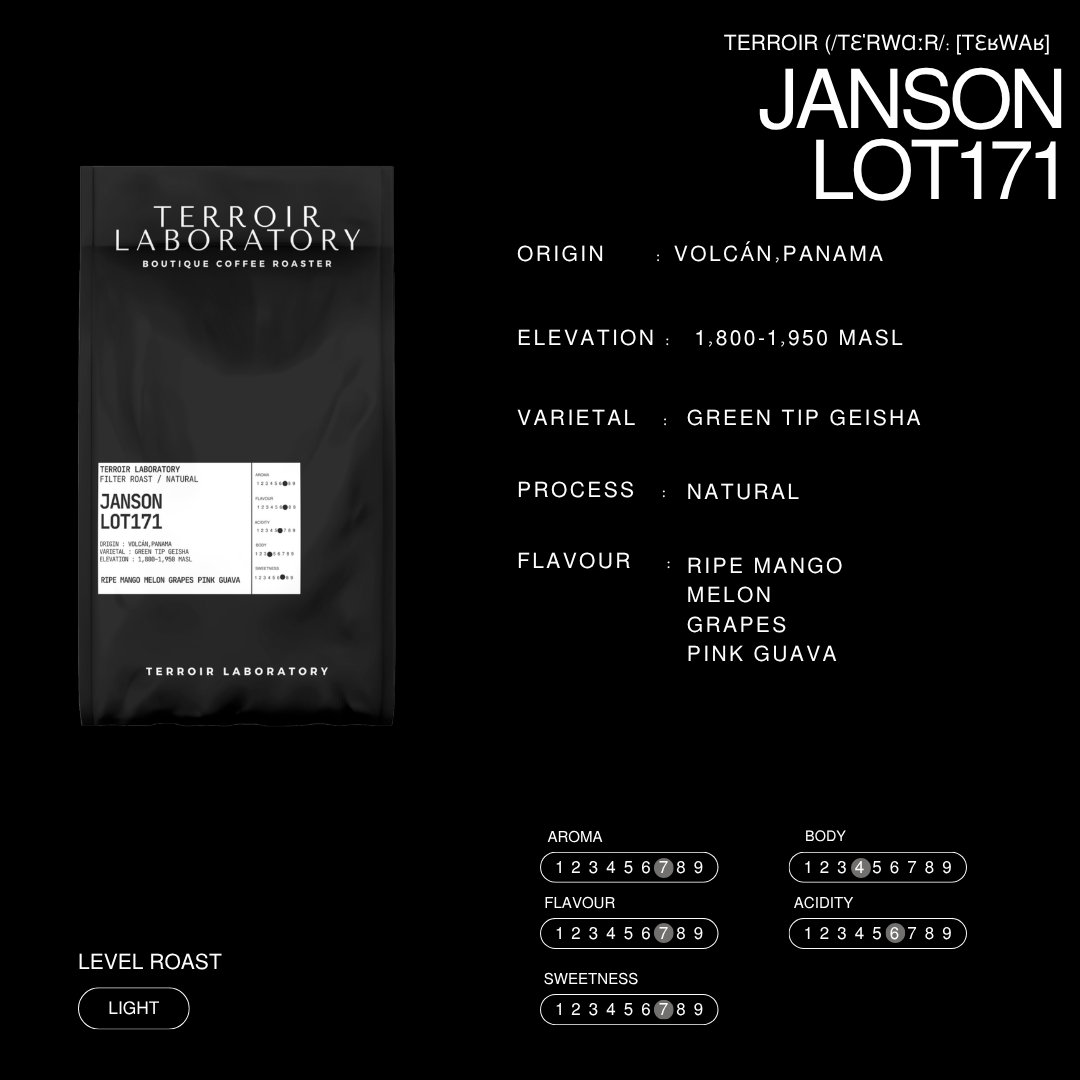 Janson Lot171 | Light Roast | Terroir Laboratory