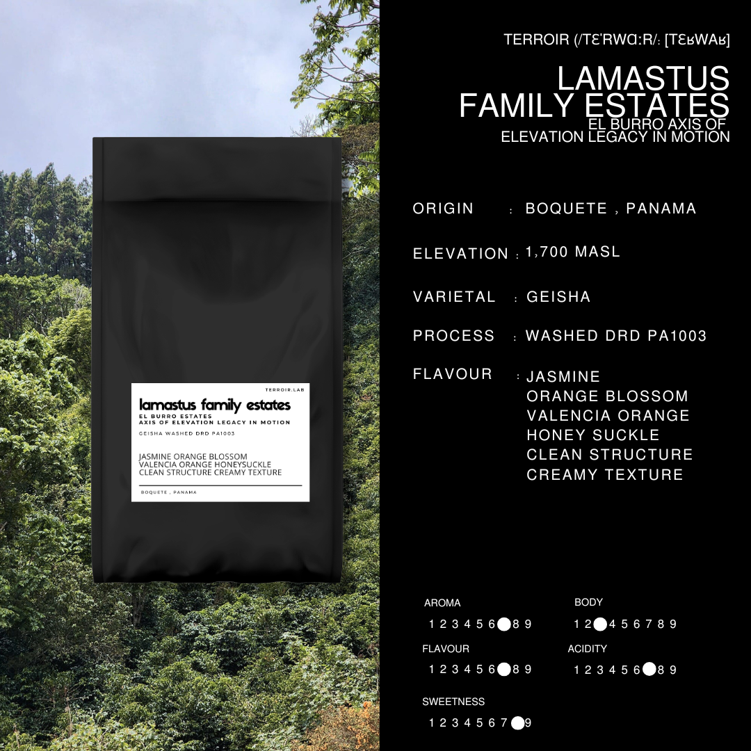 LAMASTUS FAMILY ESTATES ( El Burro Axis Of Elevation Legacy In Motion )