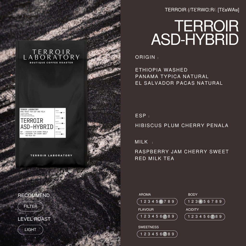 Terroir ASD-HYBRID Blend | Light Roast | Terroir Laboratory