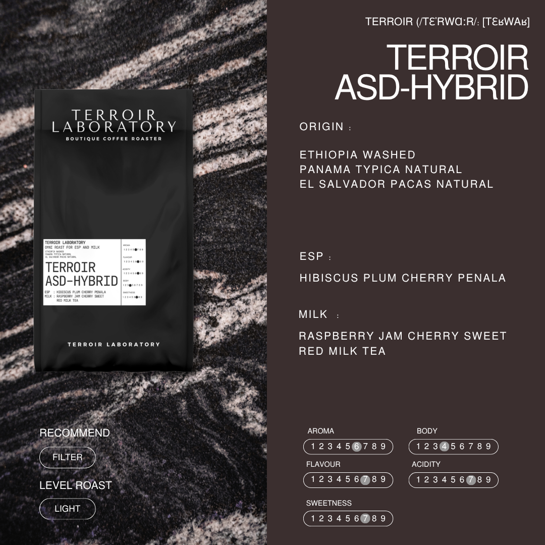 Terroir ASD-HYBRID Blend | Light Roast | Terroir Laboratory