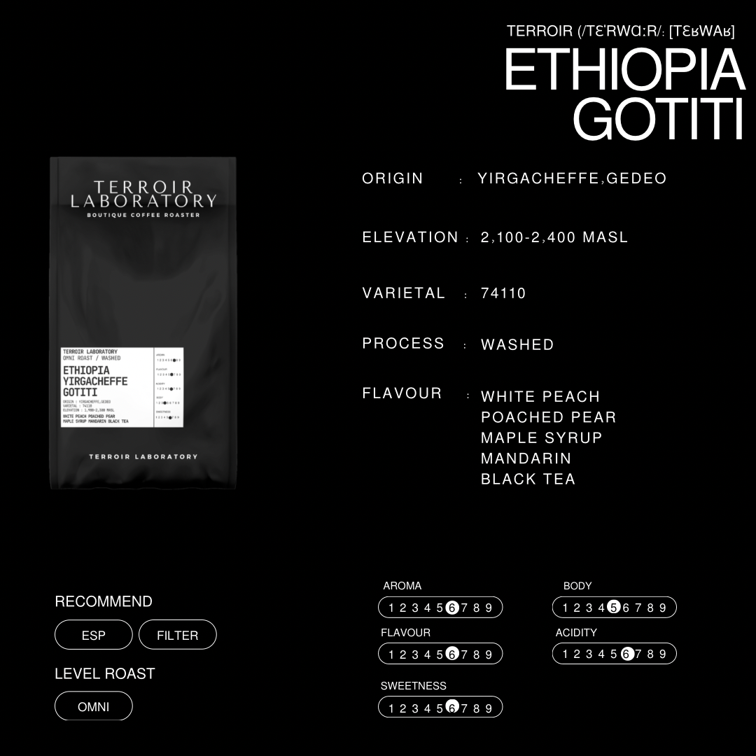 Ethiopia Yirgacheffe Gotiti (Omni Roast)