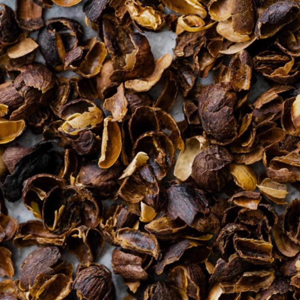Longboard MMGC 2026 Cascara | Filter Roast | Terroir Laboratory