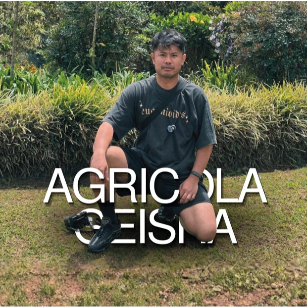 Agricola Geisha | Filter Roast | Terroir Laboratory