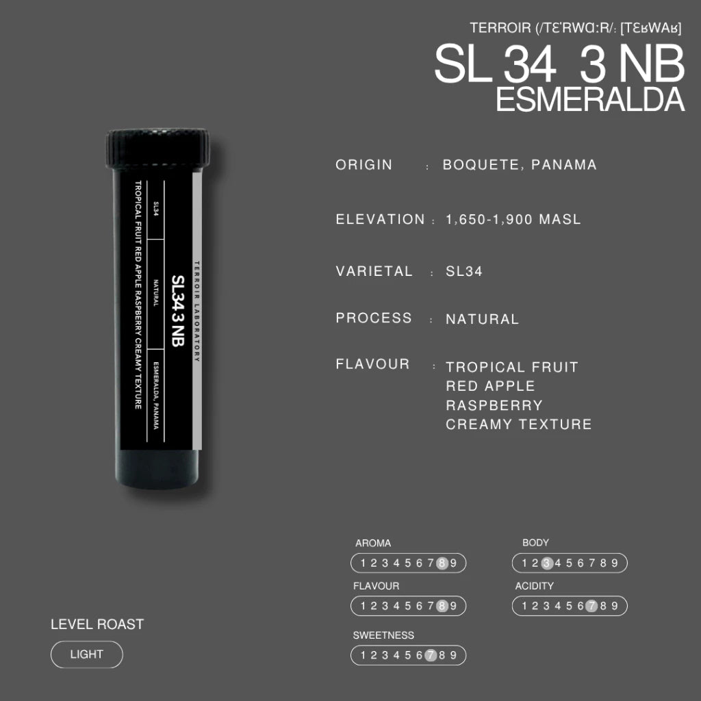 Esmeralda SL34 3NB | Filter Roast | Terroir Laboratory