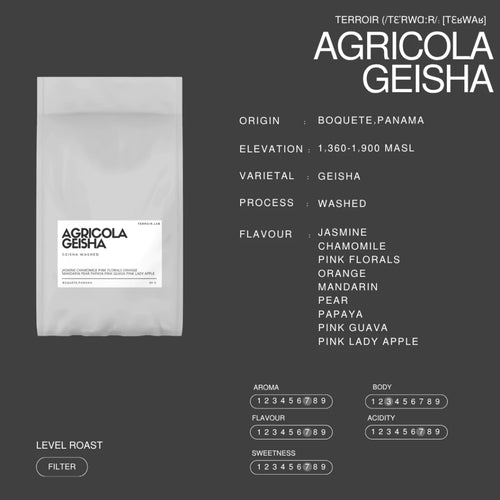 Agricola Geisha | Filter Roast | Terroir Laboratory