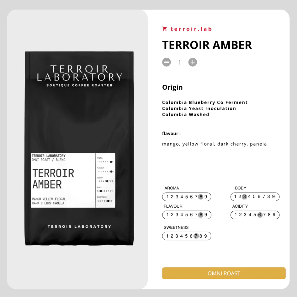 Terroir Amber | Omni Roast | Terroir Laboratory